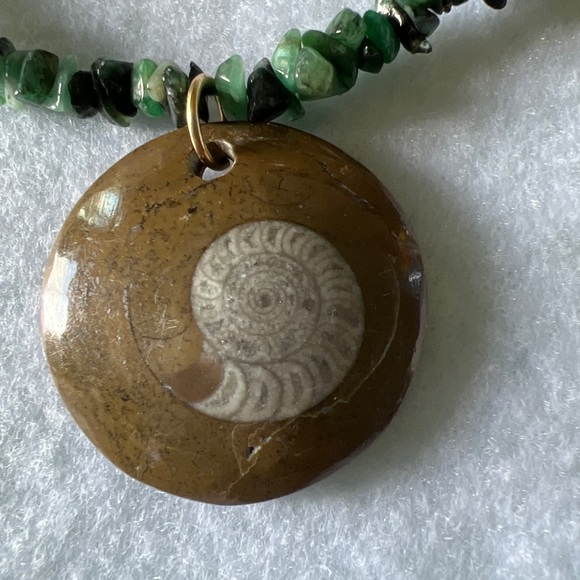 Ammonite fossil on Beryl stone - Picture 2 of 3